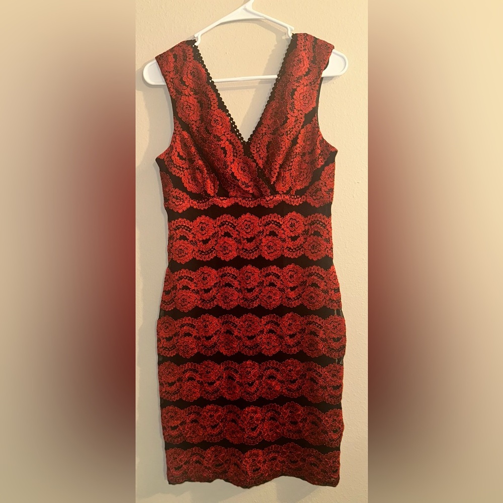 Scarlett Sleeveless Floral Lace Sheath Dress Women Size 10 Red And Black Overlay